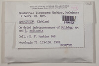 Image Associated With the Occurence